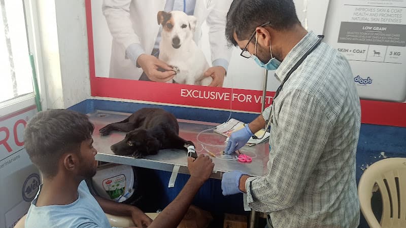 ADITYA PET CLINIC