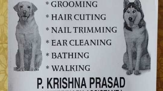 Mobile Pet Grooming And Cremation