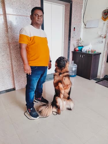 Yash Dog Training School