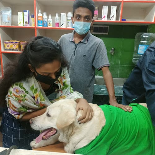 Mission Animal Health