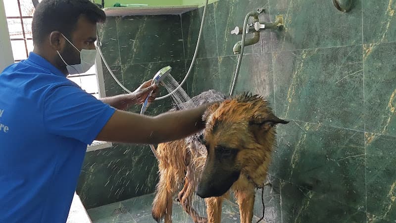 HI Tech Pet Grooming Center