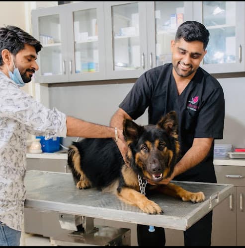 Healing touch pet hospital