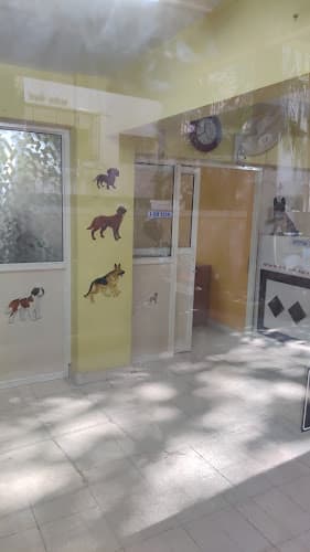 Metrovet Diagnostic Center