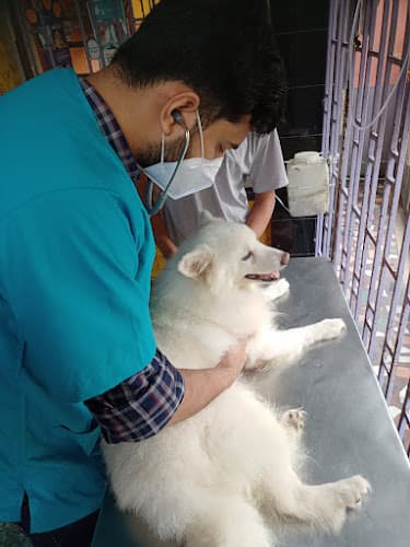 Antarik Veterinary Clinic (Talikhola) | Pet Medicine & Food near me