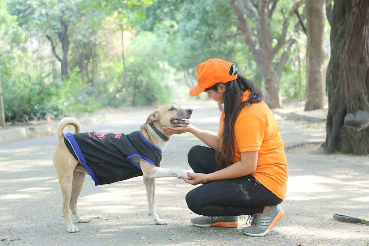 REBECCA ROBERT Animal Behaviourist