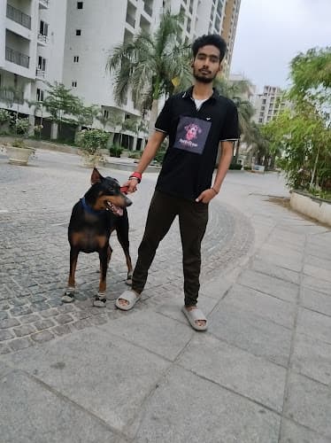 Pawfectcare - Pet Boarding, Walking & Essential Services