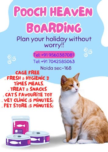 Pooch heaven cat boarding