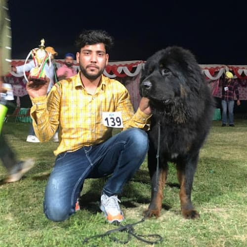 Lokesh dog training and bording