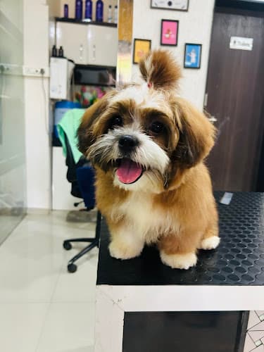 WOOF & MEOW PET CLINIC & GROOMING