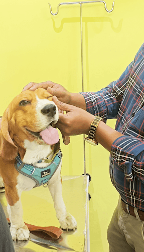 Upasona Pet Clinic Cum Shop