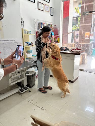 Pet Ozone Pet Clinic | Best Veterinary Doctor, Vet Clinic | Pune