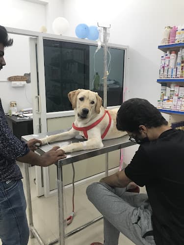 Vertebrate Pet Clinic