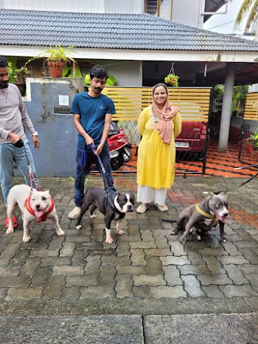 PetzHowz - veterinary doctor kochi , Home visit and online consultation