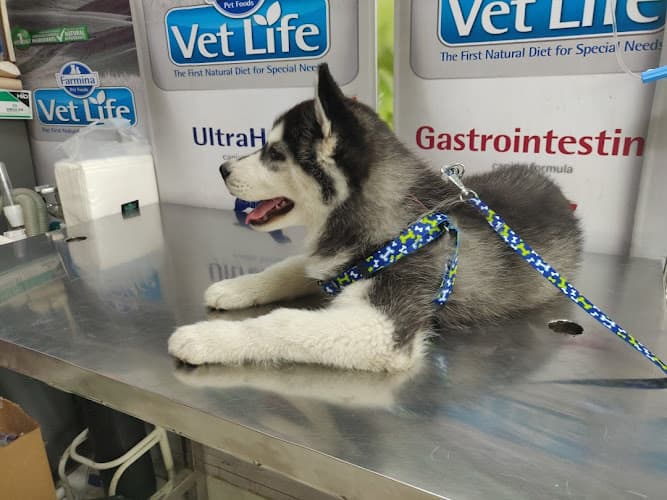 Panacea Veterinary Clinic