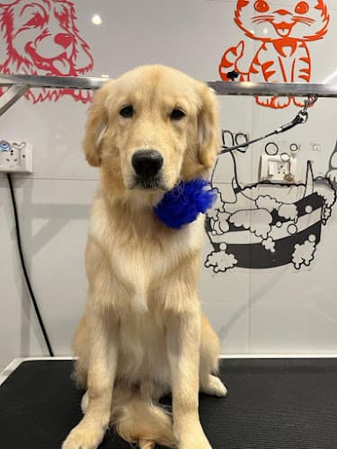 Furrever Happy Pet Spa & Store