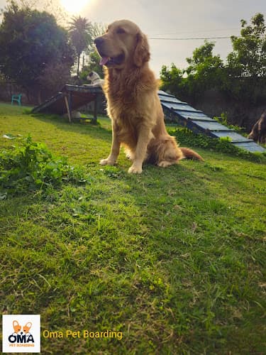 OMA Pet Boarding Noida : Pet Boarding in Noida | Dog Boarding in Noida