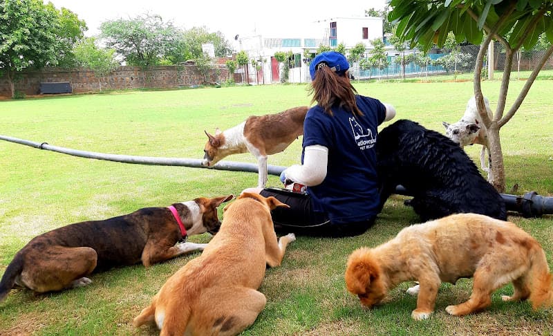 Pet Lovers Hut - Pet Resort GURUGRAM