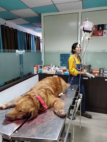 Pet Chikitsa Veterinary Hospital