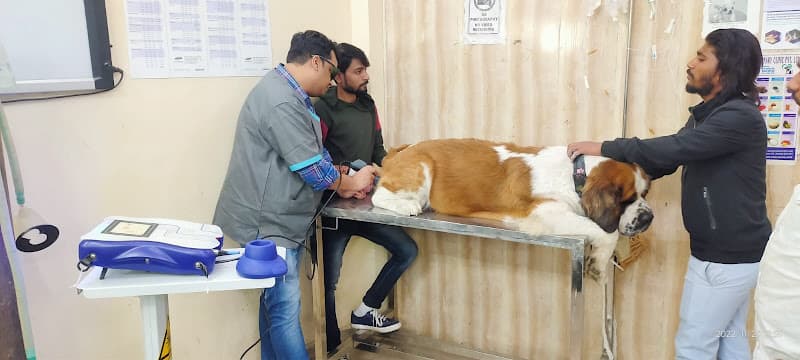 Panacea Veterinary Clinic