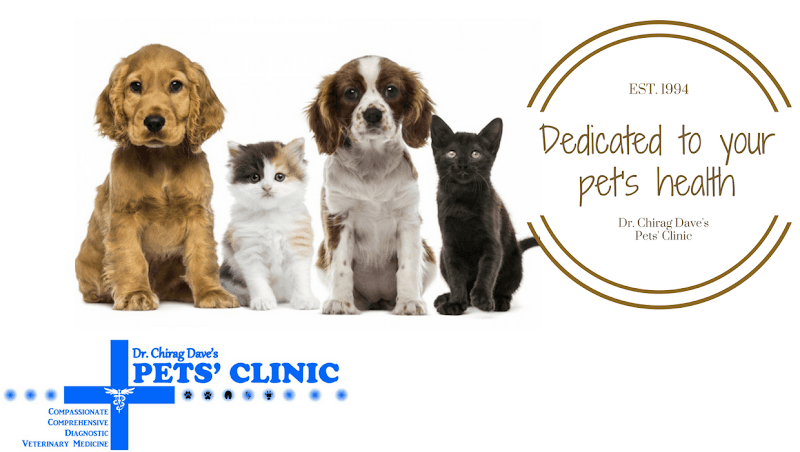 Dr. Chirag Dave's Pets' Clinic