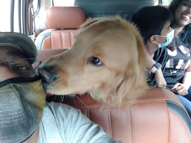 Paw Patrol Global Pet Services INDIA