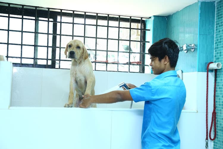 SKS Veterinary Hospital, Hyderabad