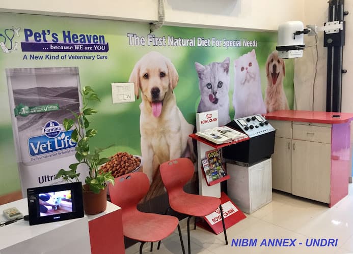 PET'S HEAVEN | DOG & CAT CLINIC | MAGARPATTA - HADAPSAR