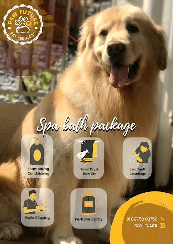 PAW FUTURE PET SERVICES (PET GROOMER)