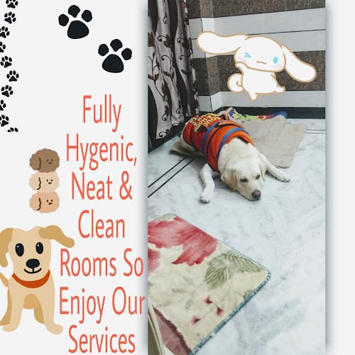 Dog Boarding Home Nirmala Ji