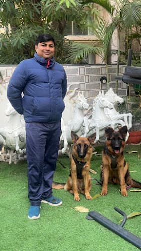 AK DOG GURU DOG TRAINER