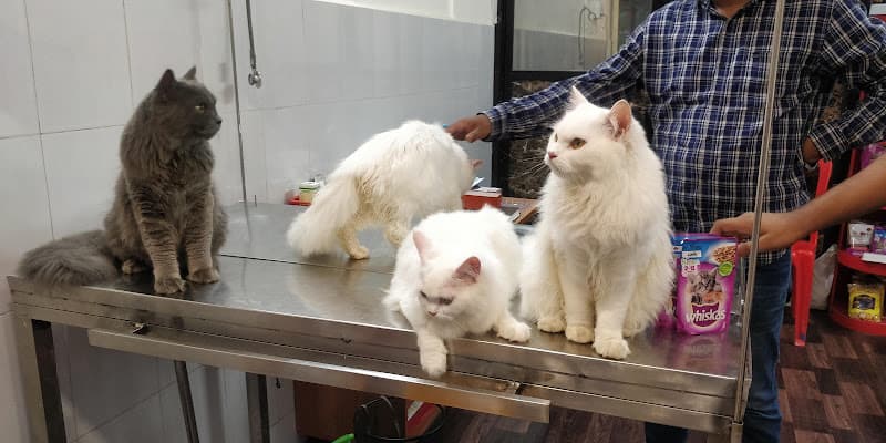 Dr Varsha's Pet's Healthcare & Nutrition