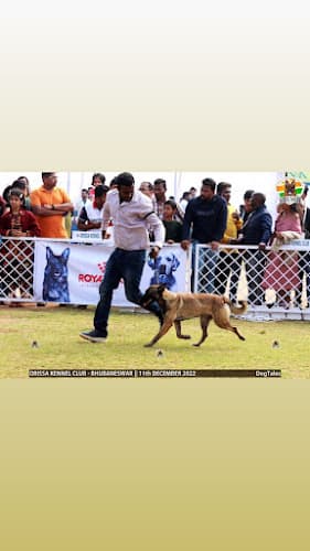 Padma’s Black Shadow k9