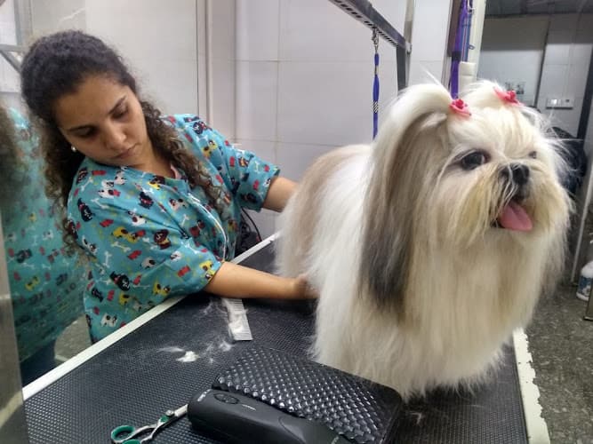 Pampered Paws Pet Grooming Salon & Academy