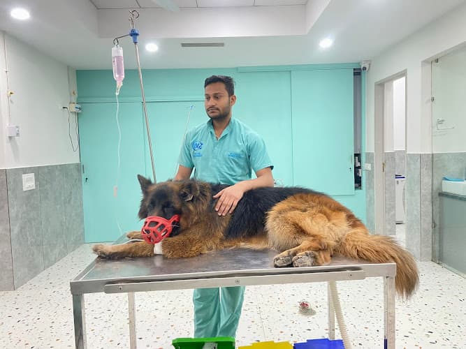 The Élite Vets Advanced Petcare