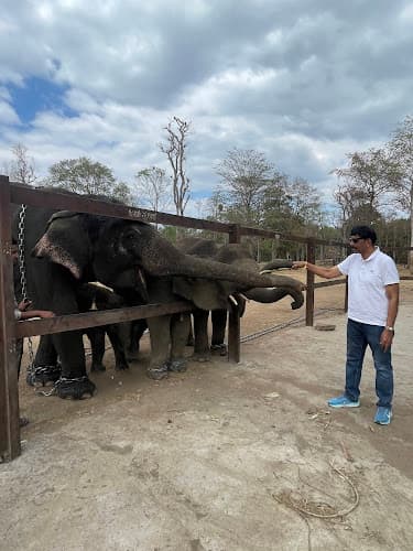 Vijay Veterinary Clinic ವಿಜಯ್ ವೆಟರ್ನರಿ ಕ್ಲಿನಿಕ್