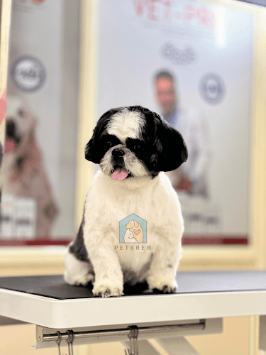 Petkrew - Pet Store, Pet Grooming & Pet Clinic | Uttarahalli