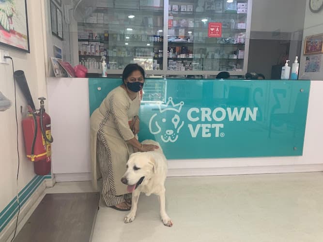 Crown Vet Worli