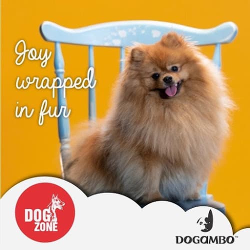 DOG ZONE (Dogambo) - Pet Store & Aquariums