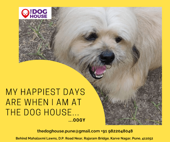 The Dog House (Karve Nagar Branch)