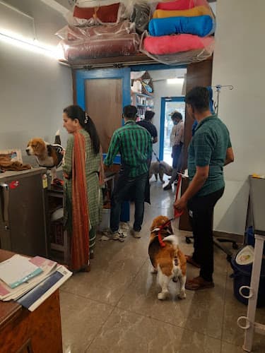 Petskart Pet Grooming | Pets Clinic Kirti Nagar