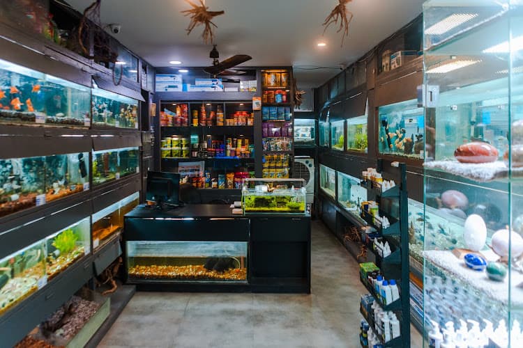 AQUA STUDIO the world of aquariums