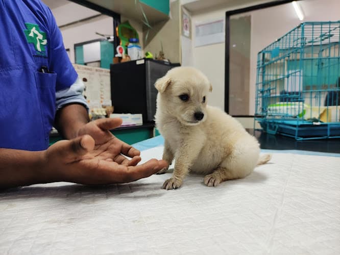 SKS VETERINARY HOSPITAL