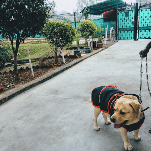 Tri-City Kennels-Pet Hotel, 24/7 Pet Hospital,Day Care & Pet Spa/Grooming Centre