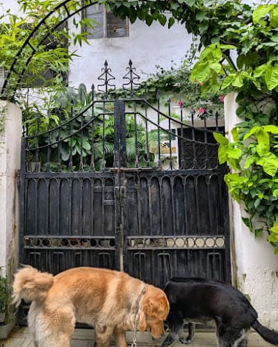 Suhana's Home Boarding for Dogs