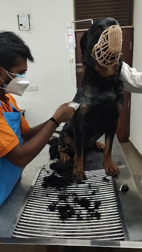 Swathi Veterinary Clinic