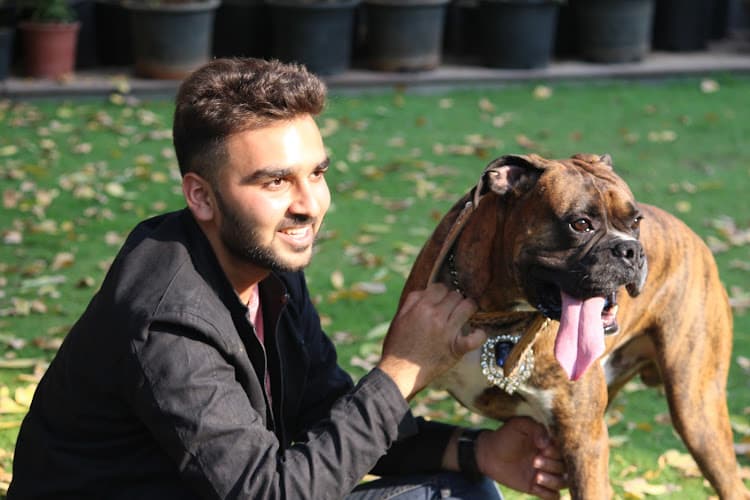 Siddh Trivedi - Certified Dog Trainer & Behaviorist