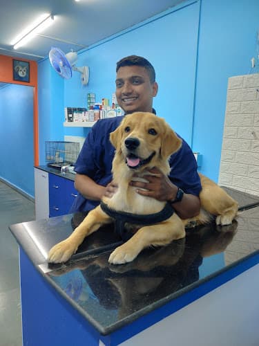 Top Vets Veterinary Speciality Clinic