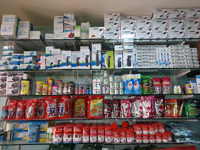 Gaylord aquarium and pets shop, Retail and Wholesale