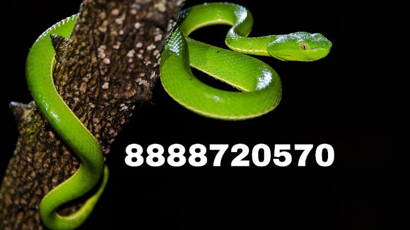 Sarpamitra sahil kendale